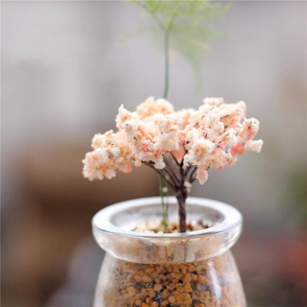 Miniature Home Garden Decoration Bonsai Plants