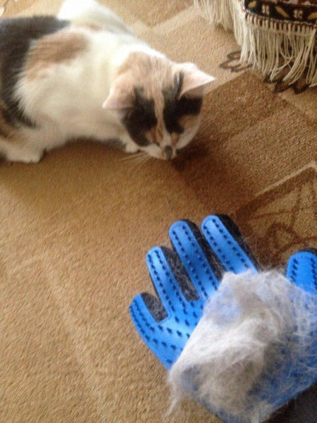 Cat Grooming Glove - Hair Remover and Massager
