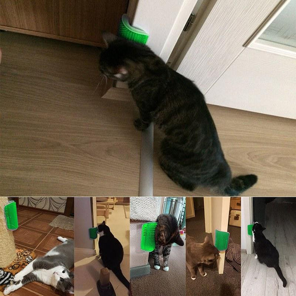 Cat Self Grooming Wall Massage Brush With Catnip