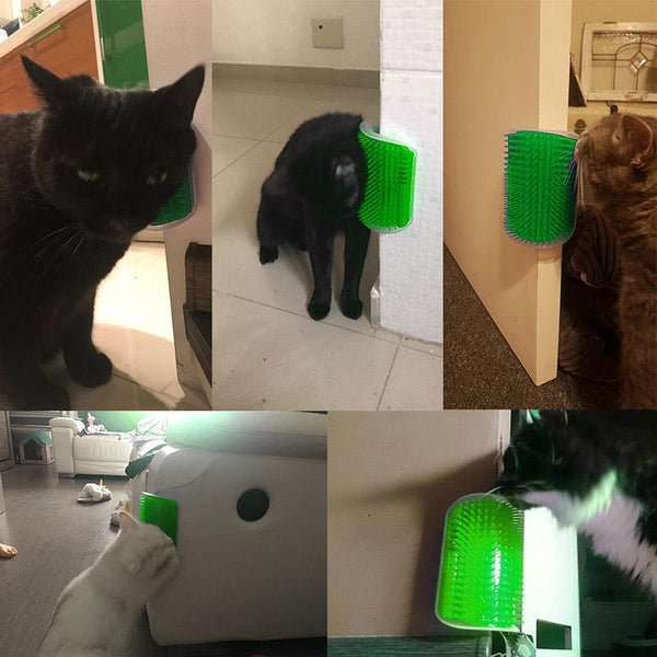 Cat Self Grooming Wall Massage Brush With Catnip
