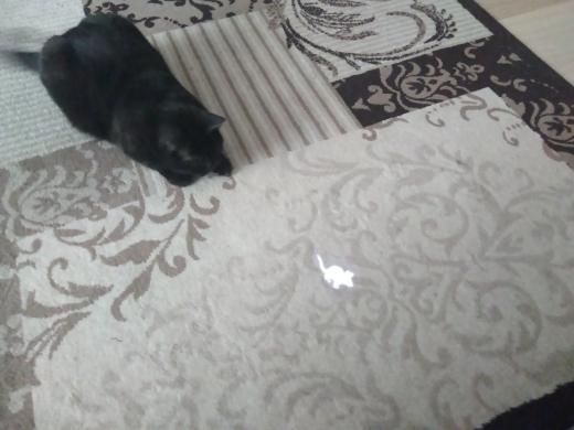 Interactive LED Laser Pointer Pen With Bright Animation