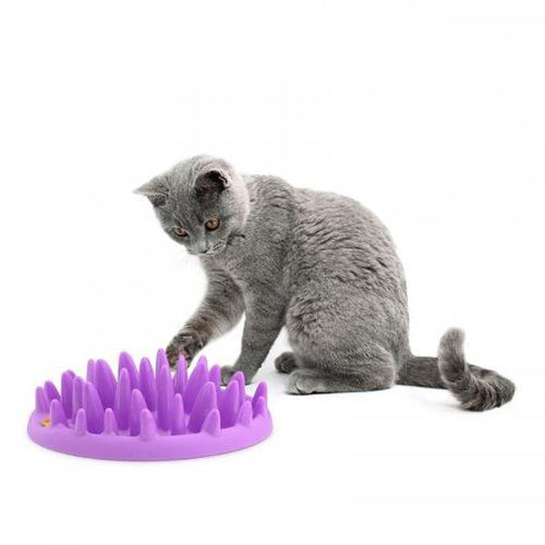 Cat Slow Feeder