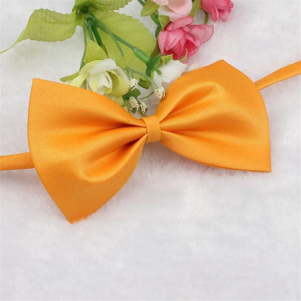 Cat Bow Tie