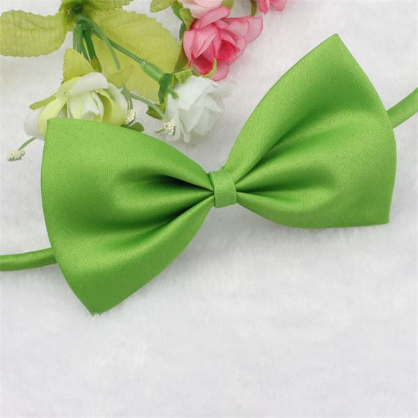 Cat Bow Tie