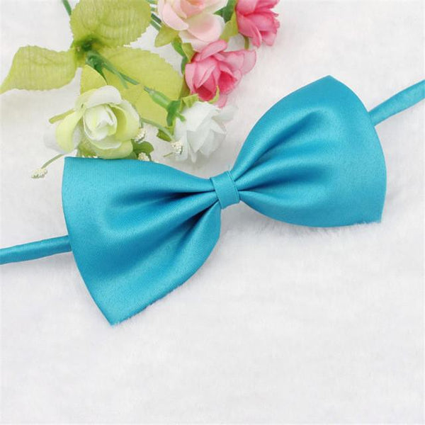 Cat Bow Tie