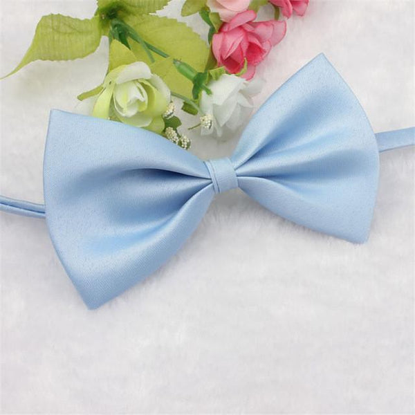 Cat Bow Tie