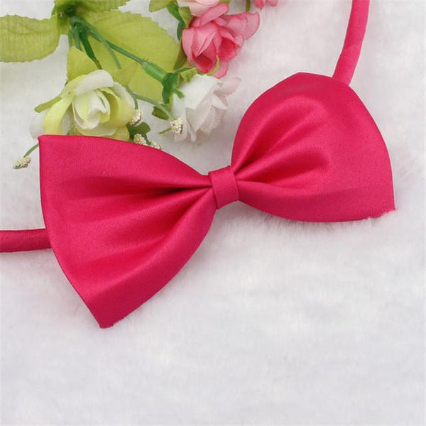 Cat Bow Tie