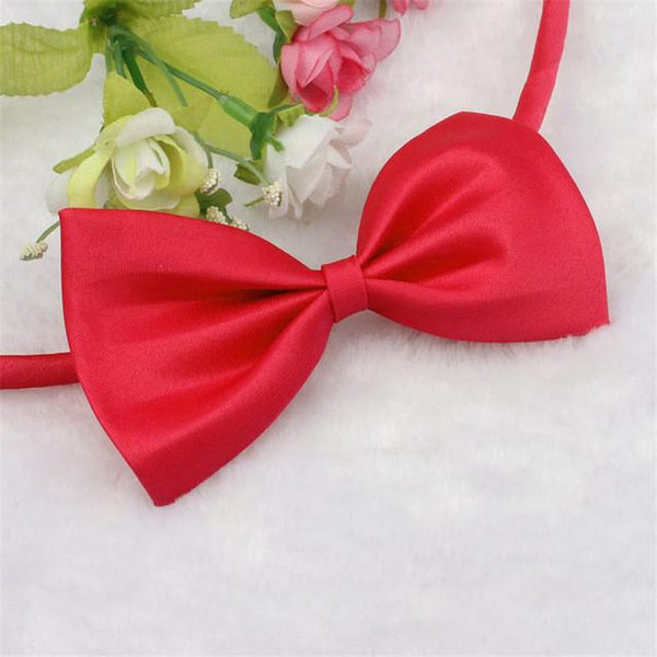 Cat Bow Tie