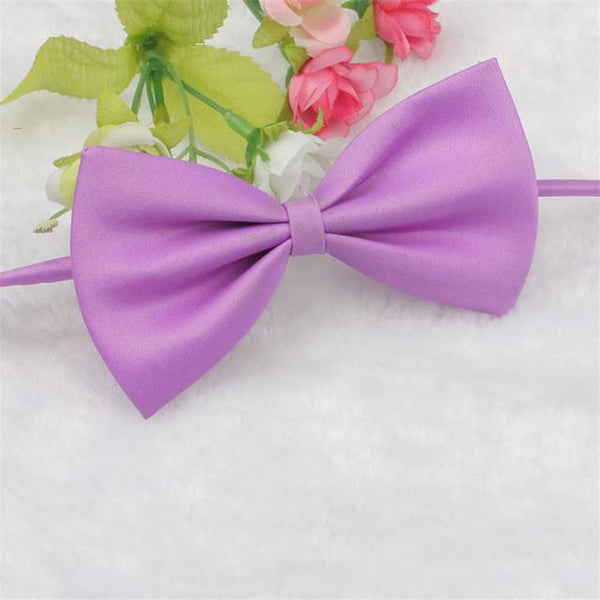 Cat Bow Tie
