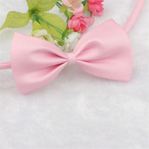 Cat Bow Tie