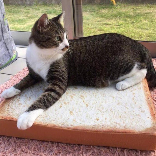 Toast Bed -  Cat Bread Sleeping Mat