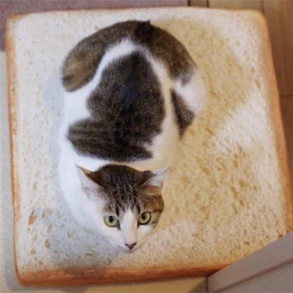 Toast Bed -  Cat Bread Sleeping Mat