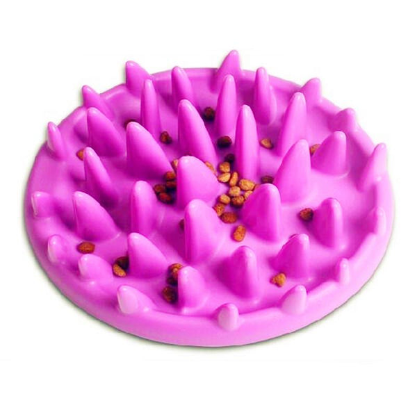 Cat Slow Feeder