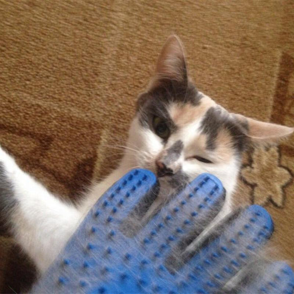 Cat Grooming Glove - Hair Remover and Massager