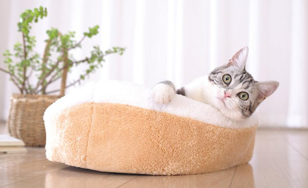 Cozy Cat Hamburger Bed