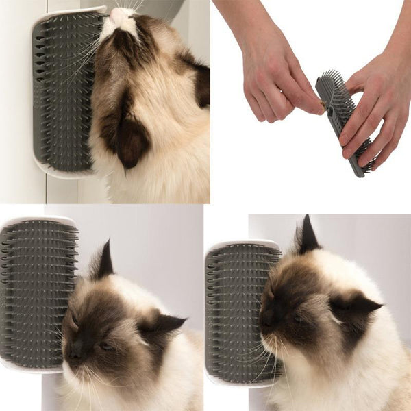 Cat Self Grooming Wall Massage Brush With Catnip