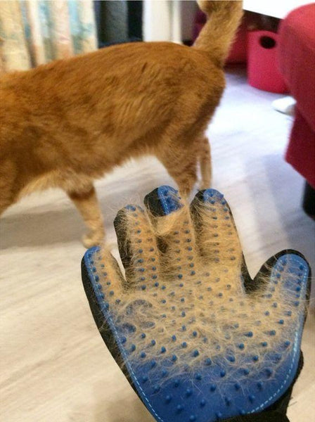 Cat Grooming Glove - Hair Remover and Massager