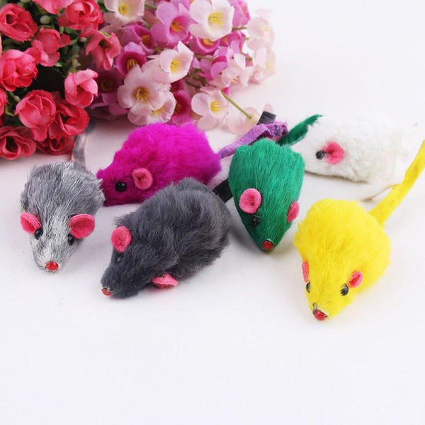10 Rainbow Mice Cat Toys