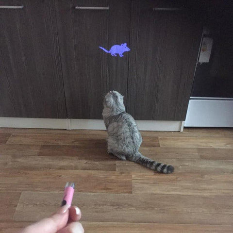 Interactive LED Laser Pointer Pen With Bright Animation