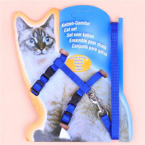 Adjustable Walking Harness Leash